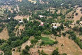 fekenin-dag-koyunde-sari-kantaron-ve-kekik-geleneksel-yontemlerle-sifa-kaynagina-donusuyor-fNtNUvzr.jpg