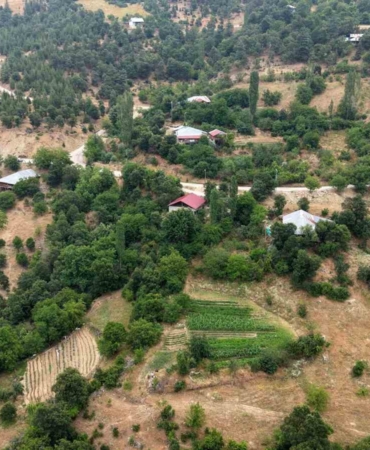 fekenin-dag-koyunde-sari-kantaron-ve-kekik-geleneksel-yontemlerle-sifa-kaynagina-donusuyor-fNtNUvzr.jpg