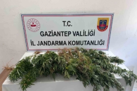 gaziantep-jandarmadan-uyusturucu-operasyonu-u66ReOnH.jpg