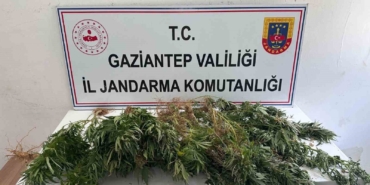 gaziantep-jandarmadan-uyusturucu-operasyonu-u66ReOnH.jpg