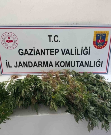 gaziantep-jandarmadan-uyusturucu-operasyonu-u66ReOnH.jpg