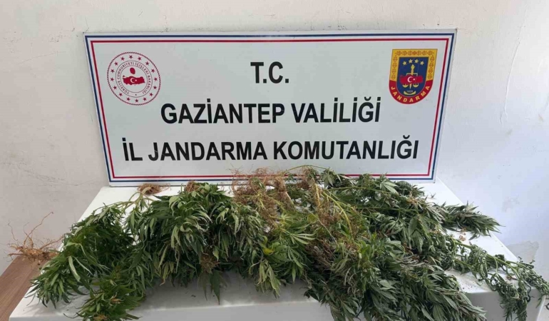 gaziantep-jandarmadan-uyusturucu-operasyonu-u66ReOnH.jpg