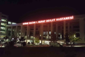 ipsalada-ahira-yildirim-dustu-3-buyukbas-hayvan-telef-oldu-ciftlik-sahibi-yaralandi-NaBSLKvv.jpg