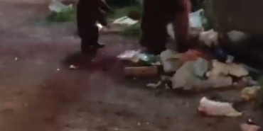 karsta-vatandas-ayilara-turku-soyledi-o-anlar-sosyal-medyayi-salladi-GGcOpbDD.jpg