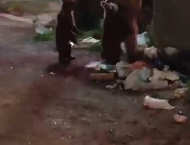 karsta-vatandas-ayilara-turku-soyledi-o-anlar-sosyal-medyayi-salladi-GGcOpbDD.jpg