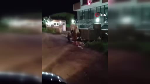 karsta-vatandas-yiyecek-arayan-ayilara-turku-soyledi-kIXCIuHq.jpg