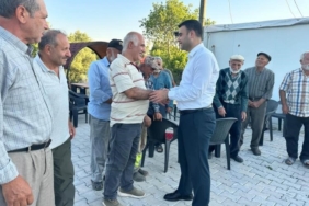 kaymakam-kilic-yangin-bolgesinde-incelemede-bulundu-XEknTmNn.jpg