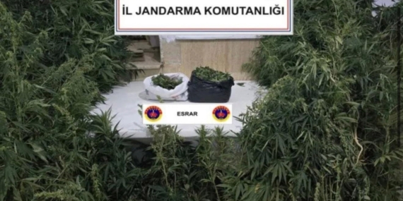 kenevirleri-sularken-sucustu-yakalandi-LEVI45da.jpg