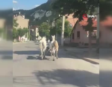 kutahyada-atlari-motoruna-bagladi-trafige-cikti-9zEGPfN1.jpg