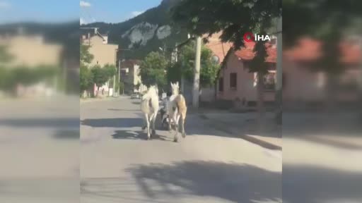 kutahyada-atlari-motoruna-bagladi-trafige-cikti-9zEGPfN1.jpg