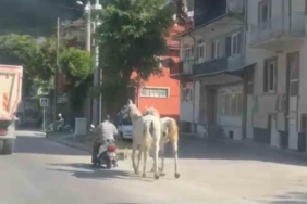 kutahyada-atlari-motosikletine-baglayarak-ilerleyen-surucu-kameraya-yansidi-VKPVCDg2.jpg