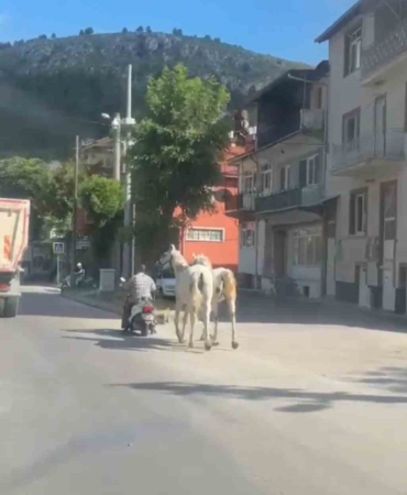 kutahyada-atlari-motosikletine-baglayarak-ilerleyen-surucu-kameraya-yansidi-VKPVCDg2.jpg