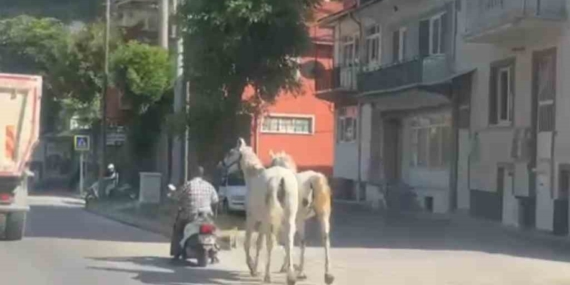 kutahyada-atlari-motosikletine-baglayarak-ilerleyen-surucu-kameraya-yansidi-VKPVCDg2.jpg