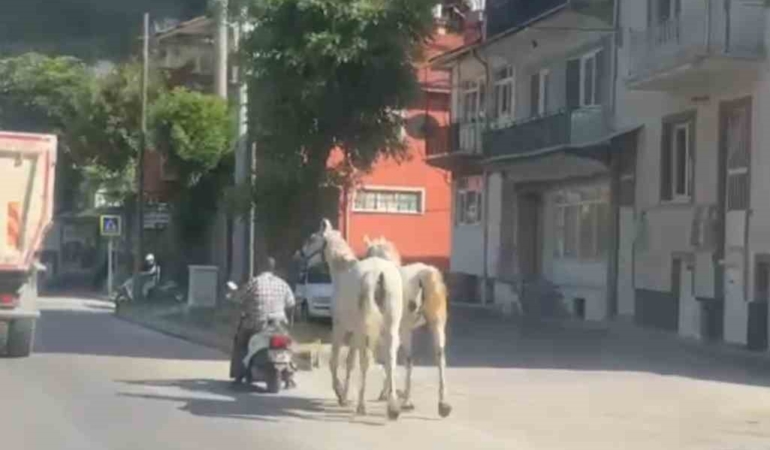 kutahyada-atlari-motosikletine-baglayarak-ilerleyen-surucu-kameraya-yansidi-VKPVCDg2.jpg
