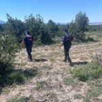 kutahyada-orman-yanginlarina-karsi-jandarma-teyakkuza-gecti-QPByIc7g.jpg