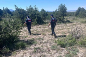 kutahyada-orman-yanginlarina-karsi-jandarma-teyakkuza-gecti-QPByIc7g.jpg