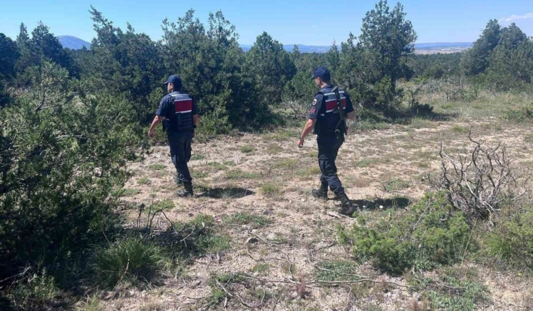 kutahyada-orman-yanginlarina-karsi-jandarma-teyakkuza-gecti-QPByIc7g.jpg