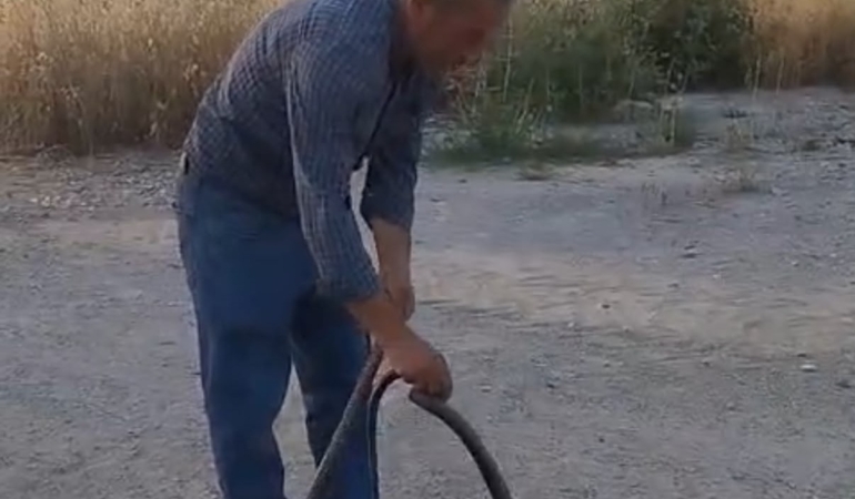 muhtar-evlere-giren-yilanlari-eliyle-yakalayip-dogaya-birakiyor-KI7tSuWT.jpg