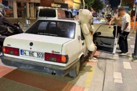 pelus-ayi-ehliyetsiz-surucuyu-ele-verdi-t7XIx67g.jpg