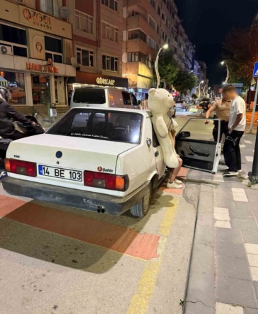 pelus-ayi-ehliyetsiz-surucuyu-ele-verdi-t7XIx67g.jpg