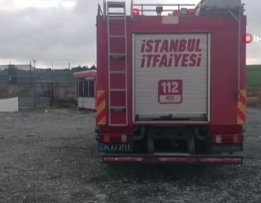 topraga-saplanan-iki-buyukbas-hayvani-itfaiye-kurtardi-wYr56cxv.jpg