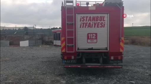 topraga-saplanan-iki-buyukbas-hayvani-itfaiye-kurtardi-wYr56cxv.jpg