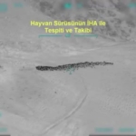 vanda-800-kucukbas-hayvanin-yagmalanmasina-yonelik-iha-destekli-operasyon-4-gozalti-gNgwYHDm.jpg