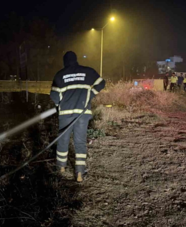 yanginda-alevlerin-arasinda-kalan-kaplumbagayi-polis-ekipleri-kurtardi-bODcLQ9A.jpg