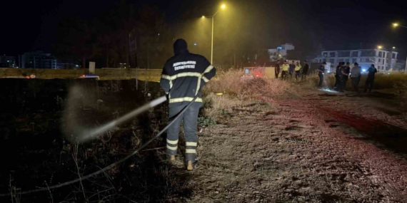 yanginda-alevlerin-arasinda-kalan-kaplumbagayi-polis-ekipleri-kurtardi-bODcLQ9A.jpg