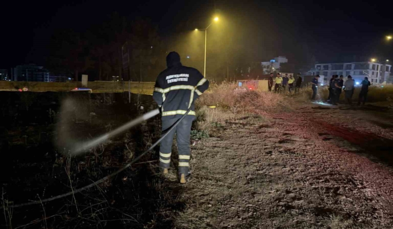 yanginda-alevlerin-arasinda-kalan-kaplumbagayi-polis-ekipleri-kurtardi-bODcLQ9A.jpg
