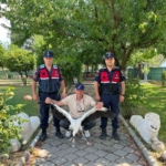 yarali-leylek-icin-seferber-oldular-All4UH7q.jpg