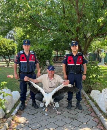yarali-leylek-icin-seferber-oldular-All4UH7q.jpg