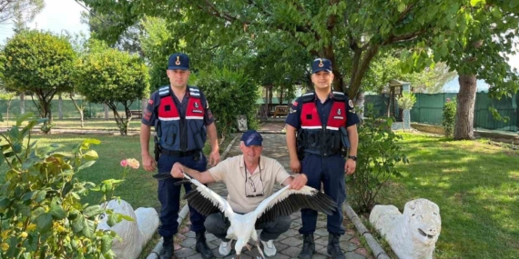 yarali-leylek-icin-seferber-oldular-All4UH7q.jpg