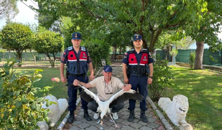 yarali-leylek-icin-seferber-oldular-All4UH7q.jpg
