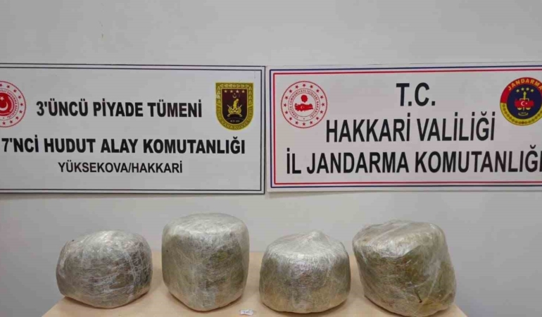 yuksekovada-11-kilo-skunk-ele-gecirildi-neHYHQAN.jpg