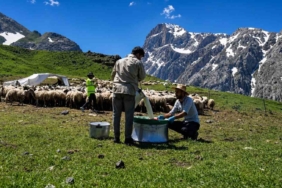 zorlu-yayla-sartlarinda-tescilli-lezzet-uretiliyor-cJCgFV3g.jpg