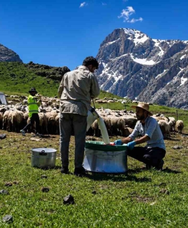 zorlu-yayla-sartlarinda-tescilli-lezzet-uretiliyor-cJCgFV3g.jpg