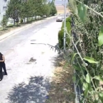 8 YAŞINDAKİ ÇOCUĞUN KAÇIRTTIĞI ŞÜPHELİ KADIN YAKALANDI KENDİSİNİ POLİS OLARAK TANITAN ŞÜPHELİ KADIN KURYE OLDUĞUNU VE EVRAK ALMAYA GİTTİĞİNİ ÖNE SÜRDÜ