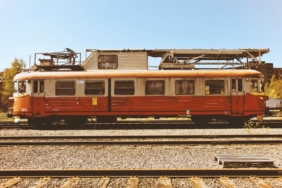 AHBAP Derneği'ne kayyım atandı, faaliyetleri durduruldu