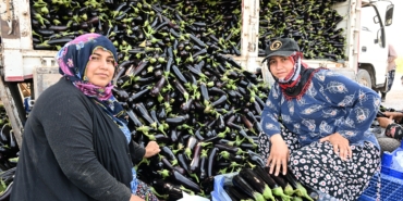 SELİN YIKTIĞI TARLADA YENİDEN HASAT SEVİNCİ