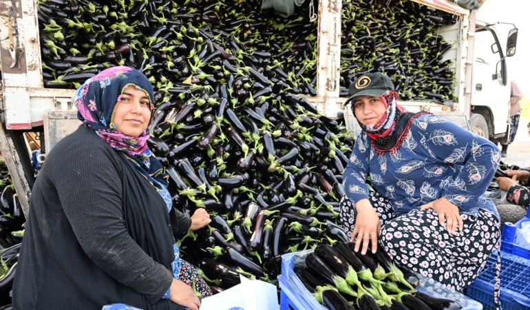 SELİN YIKTIĞI TARLADA YENİDEN HASAT SEVİNCİ