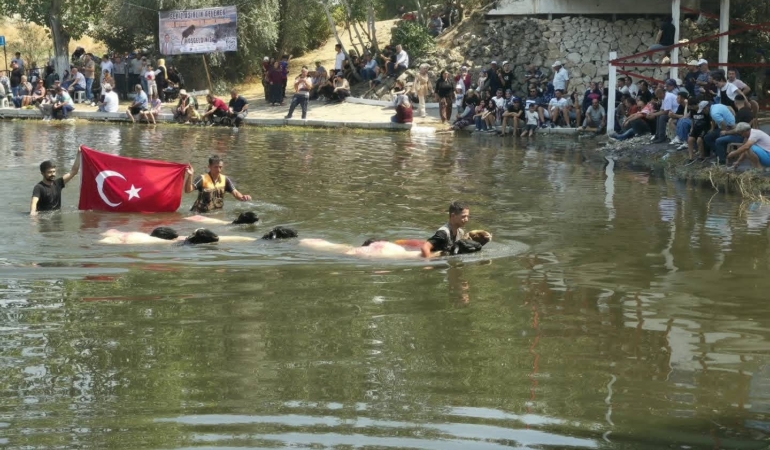 8 ASIRLIK ÇAL SUDAN KOYUN GEÇİRME FESTİVALİ YOĞUN KATILIMLA GERÇEKLEŞTİ