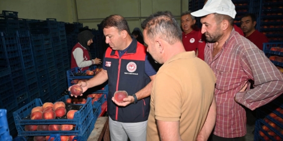 ÇİVRİL'DE ŞEFTALİNİN ÜRETİMDEN PAZARLAMAYA YOLCULUĞU İNCELENDİ İL TARIM MÜDÜRÜ ZAYİM, ÇİVRİL'DE ŞEFTALİ TESİSİNİ İNCELEDİ FOTOĞRAFLI