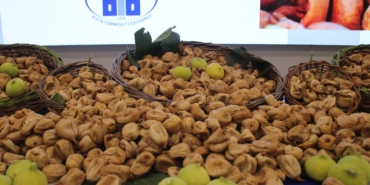 AYDIN'DA SEZONUN İLK KURU İNCİRİ 850 LİRADAN SATILDI