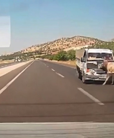 Adıyaman'da kamyonet eşeğe çarptı, kaza anı kaydedildi