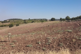 Adıyaman'da kaybolan 14 yaşındaki çocuk bulundu