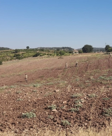 Adıyaman'da kaybolan 14 yaşındaki çocuk bulundu