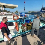Akçakoca'da balık sezonu hareketliliği başladı