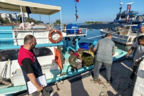 Akçakoca'da balık sezonu hareketliliği başladı