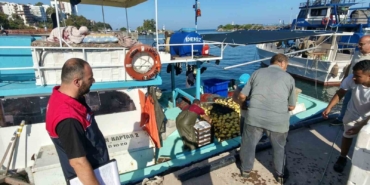 Akçakoca'da balık sezonu hareketliliği başladı